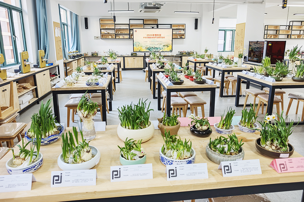 【动态】2026年普陀区水仙花雕刻造型作品展评活动成功举办